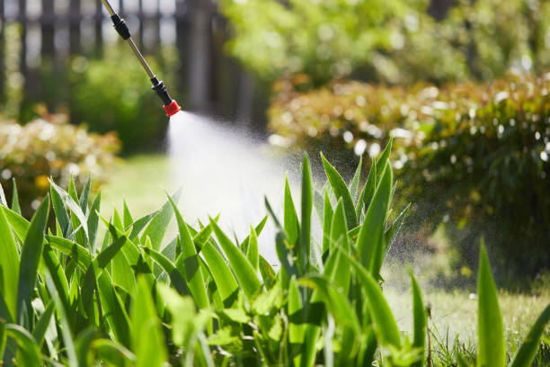 24/7 Emergency Mosquito Control experts in Santa Claus, IN