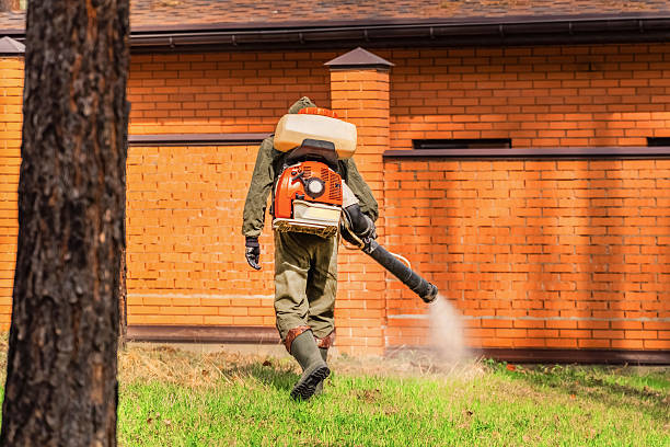 Top rated local Mosquito Control specialists in Santa Claus, IN